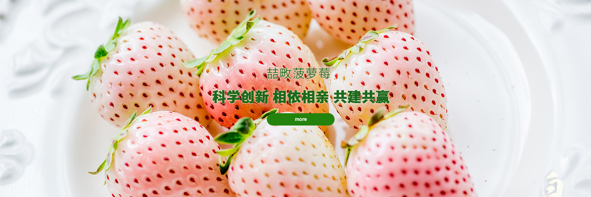 头号玩家下载